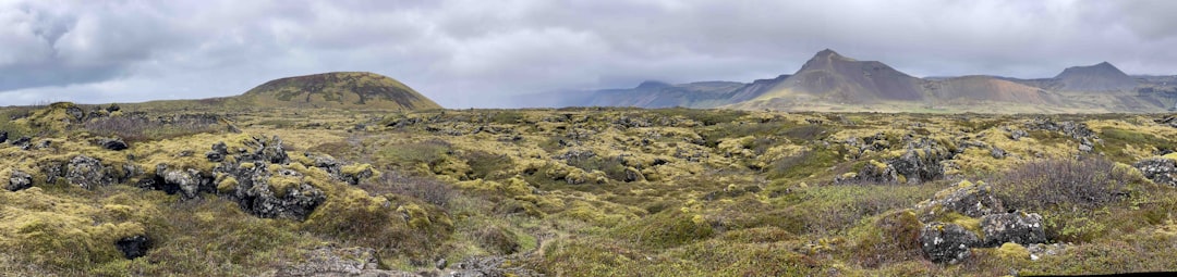 Photo Island wilderness